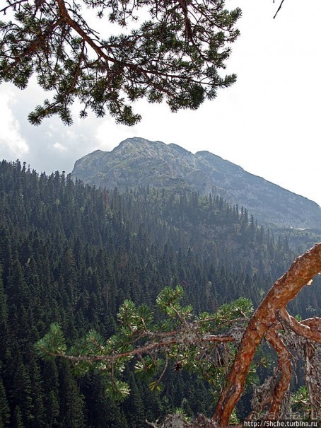 Альбом отзыва "Природа национального парка Дурмитор, Черногория"