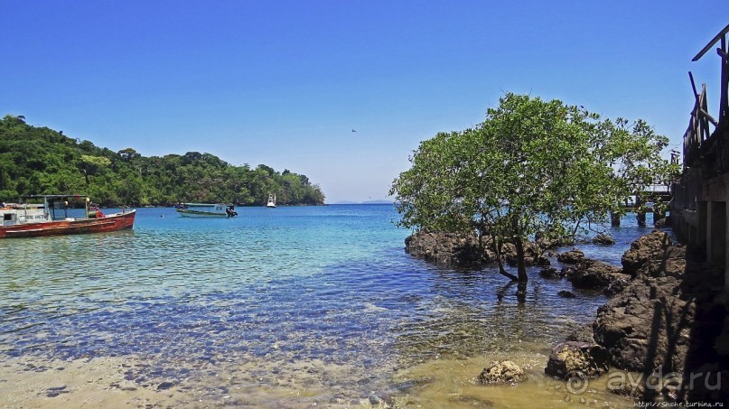Альбом отзыва "Остров Койба и его особо охраняемая акватория (ЮНЕСКО 1138)"