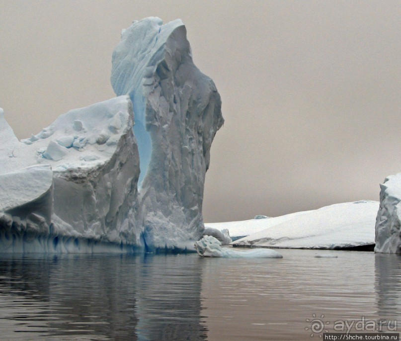 Здесь умирают айсберги — Waterboat Pt, Antarktic Peninsula Здесь умирают айсберги — Waterboat Pt, Antarktic Peninsula