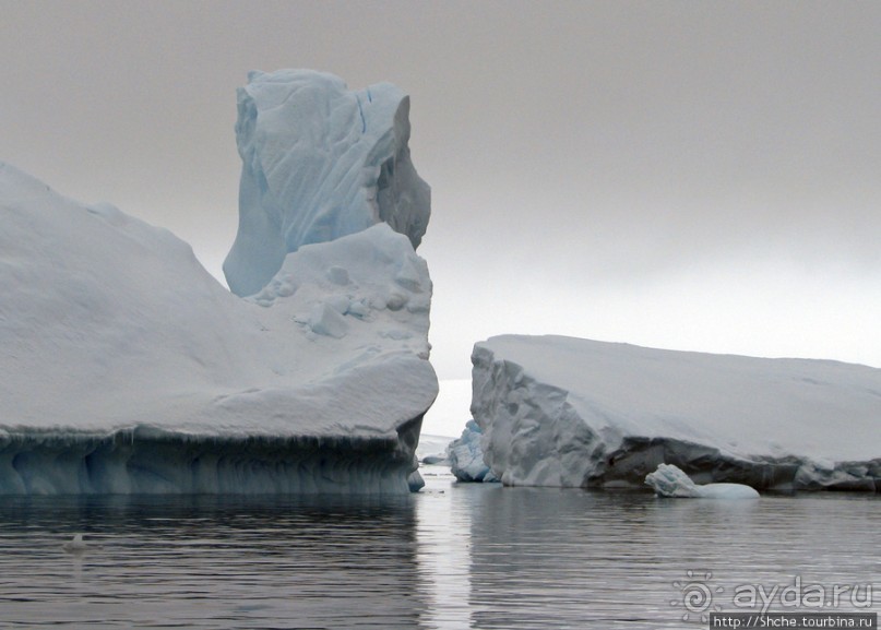 Здесь умирают айсберги — Waterboat Pt, Antarktic Peninsula Здесь умирают айсберги — Waterboat Pt, Antarktic Peninsula
