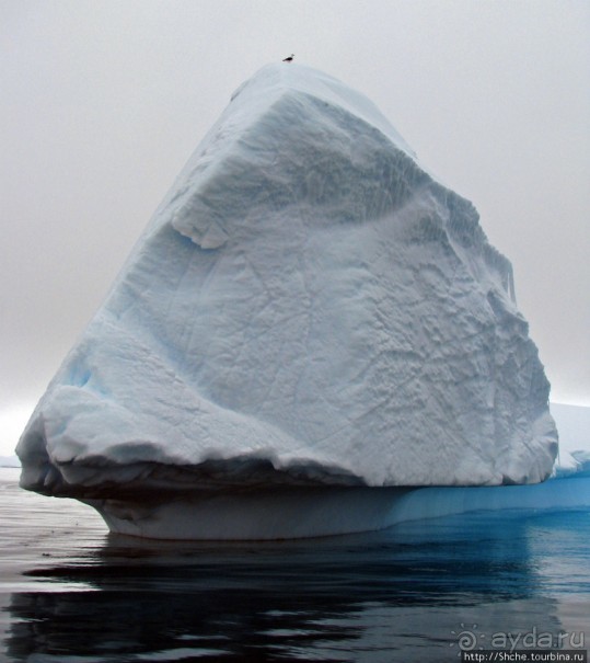Здесь умирают айсберги — Waterboat Pt, Antarktic Peninsula Здесь умирают айсберги — Waterboat Pt, Antarktic Peninsula