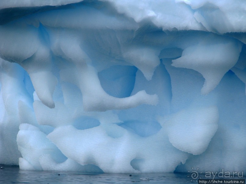 Здесь умирают айсберги — Waterboat Pt, Antarktic Peninsula Здесь умирают айсберги — Waterboat Pt, Antarktic Peninsula