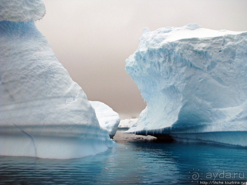 Здесь умирают айсберги — Waterboat Pt, Antarktic Peninsula Здесь умирают айсберги — Waterboat Pt, Antarktic Peninsula