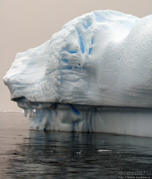 Здесь умирают айсберги — Waterboat Pt, Antarktic Peninsula Здесь умирают айсберги — Waterboat Pt, Antarktic Peninsula