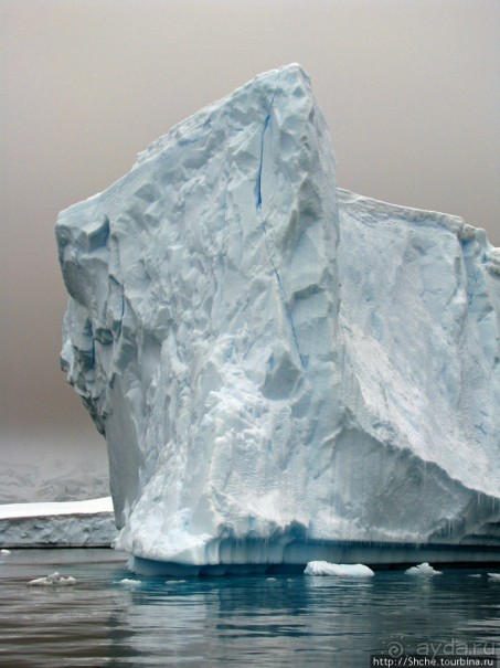 Здесь умирают айсберги — Waterboat Pt, Antarktic Peninsula Здесь умирают айсберги — Waterboat Pt, Antarktic Peninsula