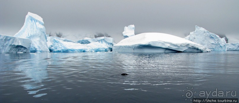 Здесь умирают айсберги — Waterboat Pt, Antarktic Peninsula Здесь умирают айсберги — Waterboat Pt, Antarktic Peninsula