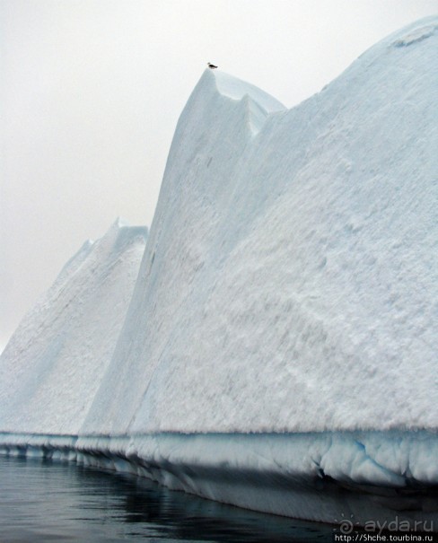 Здесь умирают айсберги — Waterboat Pt, Antarktic Peninsula Здесь умирают айсберги — Waterboat Pt, Antarktic Peninsula
