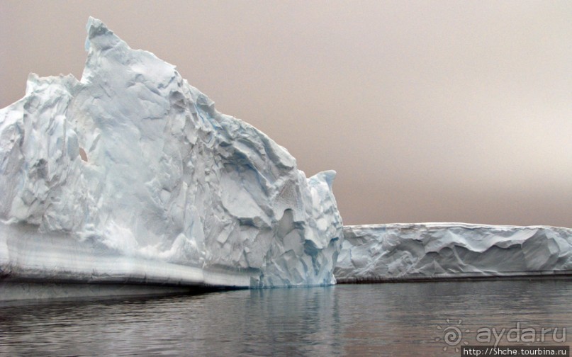 Здесь умирают айсберги — Waterboat Pt, Antarktic Peninsula Здесь умирают айсберги — Waterboat Pt, Antarktic Peninsula
