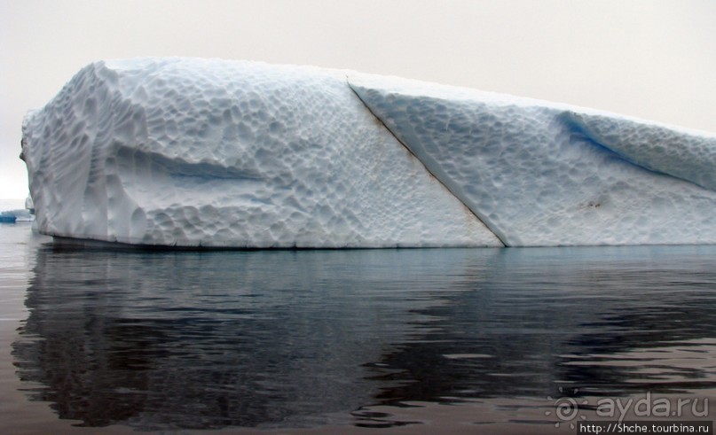 Здесь умирают айсберги — Waterboat Pt, Antarktic Peninsula Здесь умирают айсберги — Waterboat Pt, Antarktic Peninsula