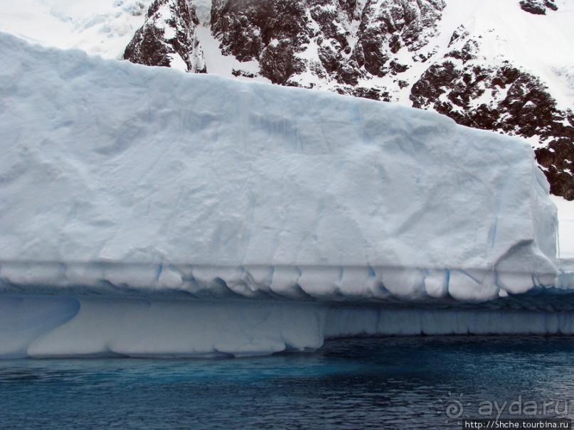 Здесь умирают айсберги — Waterboat Pt, Antarktic Peninsula Здесь умирают айсберги — Waterboat Pt, Antarktic Peninsula
