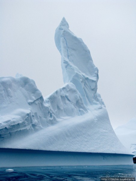 Здесь умирают айсберги — Waterboat Pt, Antarktic Peninsula Здесь умирают айсберги — Waterboat Pt, Antarktic Peninsula