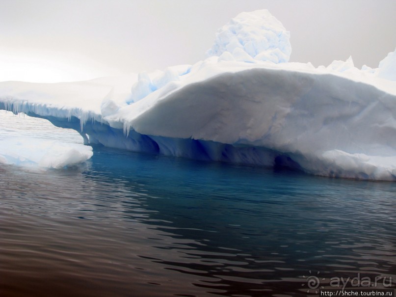 Здесь умирают айсберги — Waterboat Pt, Antarktic Peninsula Здесь умирают айсберги — Waterboat Pt, Antarktic Peninsula