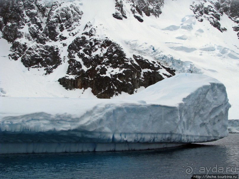Здесь умирают айсберги — Waterboat Pt, Antarktic Peninsula Здесь умирают айсберги — Waterboat Pt, Antarktic Peninsula