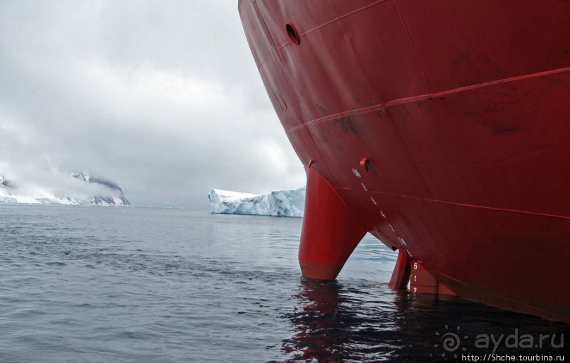 Здесь умирают айсберги — Waterboat Pt, Antarktic Peninsula Здесь умирают айсберги — Waterboat Pt, Antarktic Peninsula