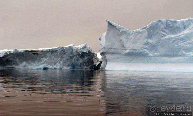 Здесь умирают айсберги — Waterboat Pt, Antarktic Peninsula Здесь умирают айсберги — Waterboat Pt, Antarktic Peninsula