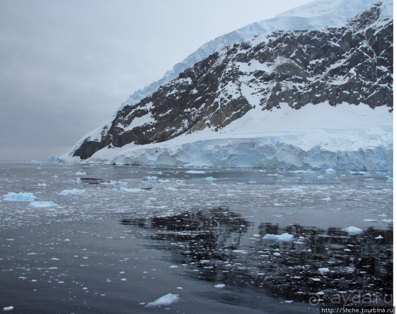 Здесь умирают айсберги — Waterboat Pt, Antarktic Peninsula Здесь умирают айсберги — Waterboat Pt, Antarktic Peninsula