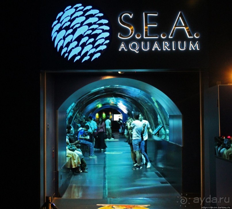 Альбом отзыва "Сингапурский океанариум, крупнейший в мире"