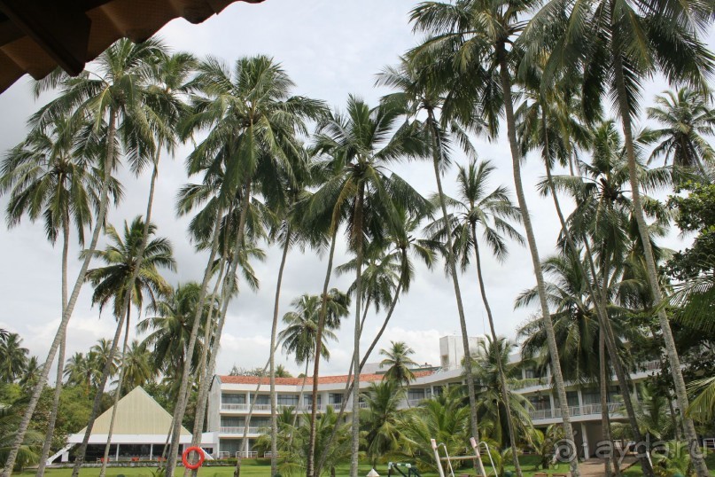 Альбом отзыва "Отдых в отеле Villa okean view в Шри-Ланке и экскурсии."