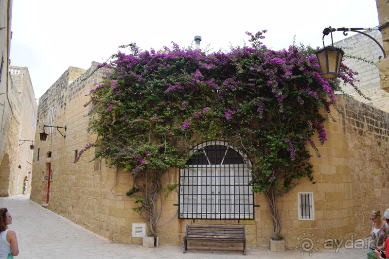Альбом истории "Мальта: маленькое окошко в железном занавесе карантина"