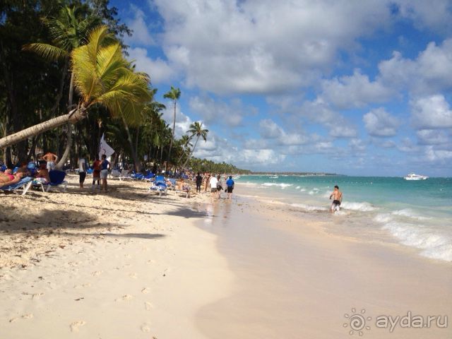 Альбом отзыва "Отличный отдых в солнечной Доминикане"